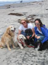 Sydne Style Happy Mothers Day dogs dog beach Del Mar